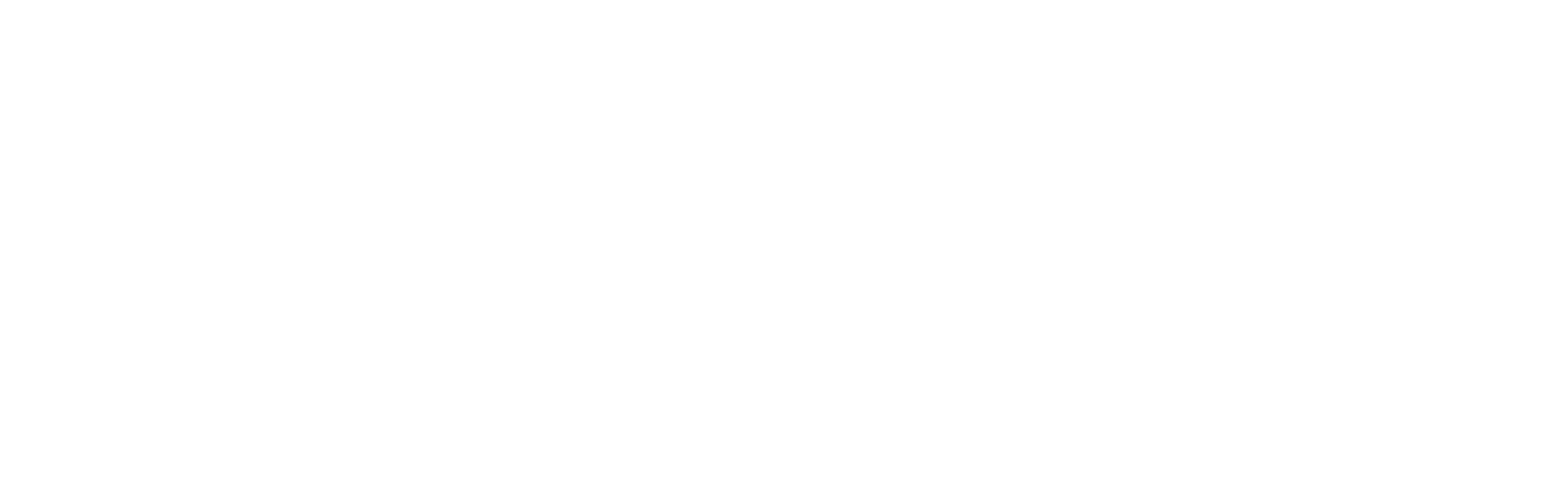Heuristiq
